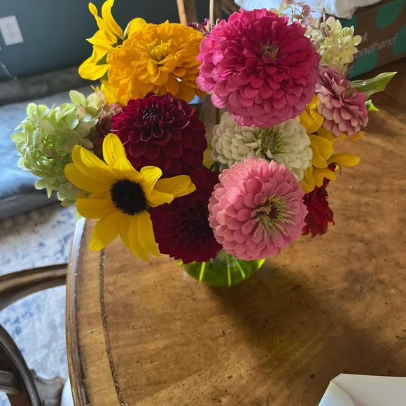 Meet your Posher, Jill - Picture 1 of 1